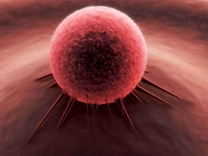 hESCs May Serve As a Colon Cancer Vaccine